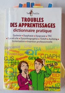 Dico des troubles_Photo couv